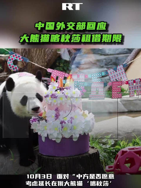 【中国#外交部回应大熊猫喀秋莎租借期限#】10月3日，面对“中方是否愿意考虑延长在俄大熊猫‘喀秋莎’