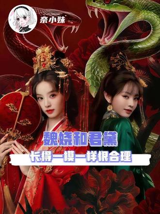 这么看魏娆和君黛长得像完全情有可原