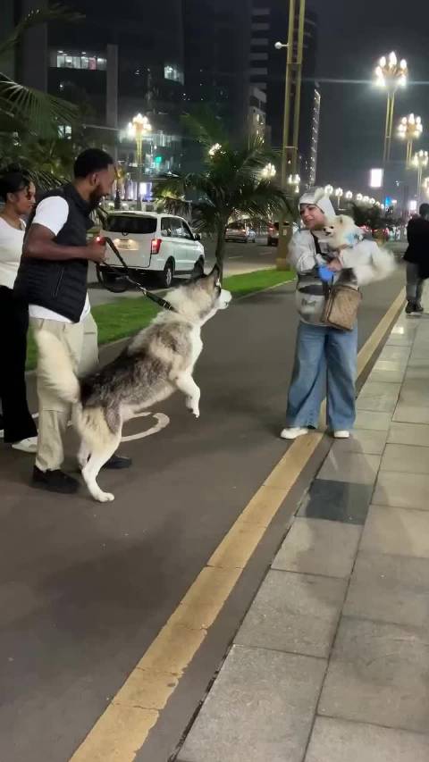 “妈妈，我只是开玩笑的……”  ​​​