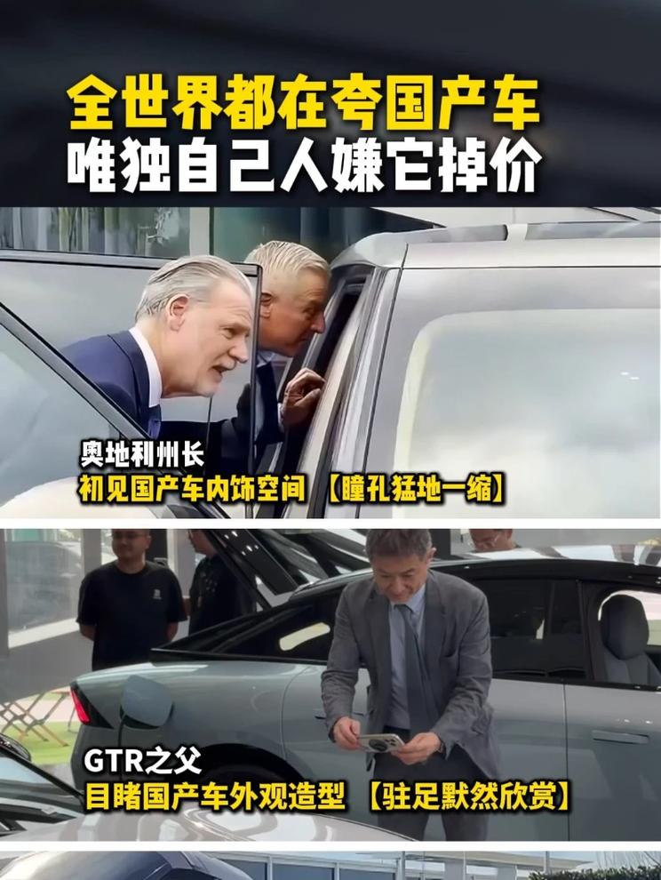 全世界都在夸国产车 唯独自己人嫌它掉价