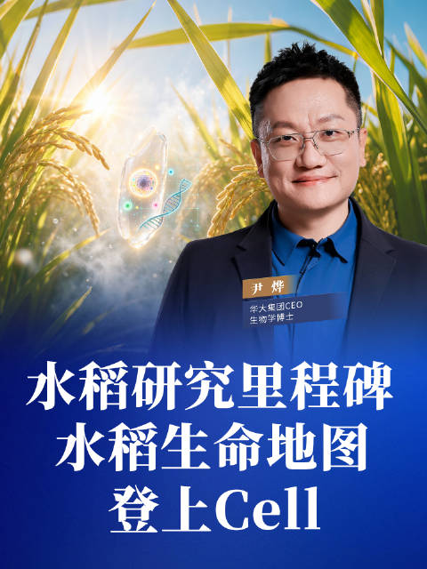 水稻研究里程碑！水稻生命地图登上Cell。#Cell##水稻##尹烨科普##粮食安全#