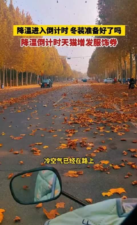 降温成了当下最直接的消费催化剂，眼看着天气预报一路走低，大家的购物车风向转向了实用保暖