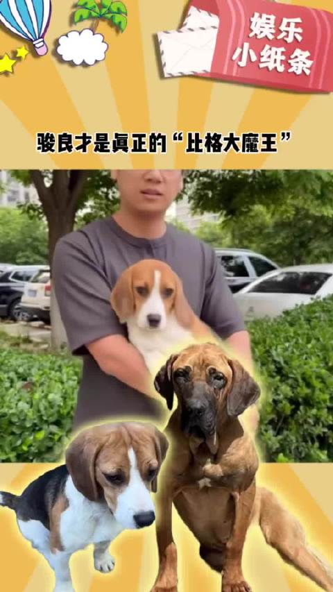 太好笑了！骏良才是真正的比格大魔王！[笑哈哈]
