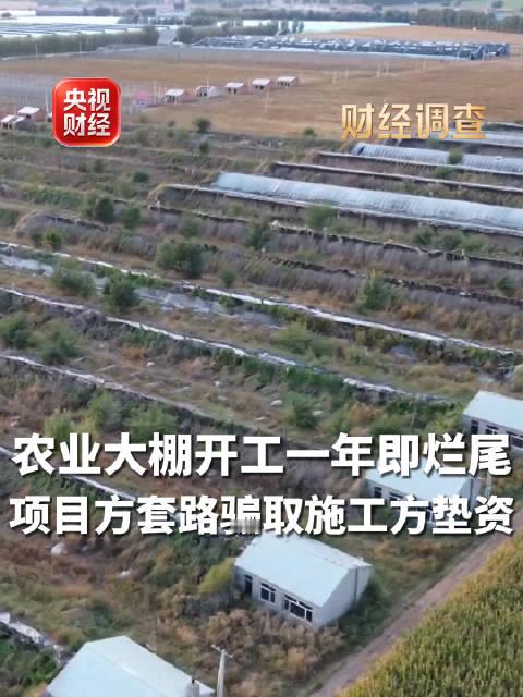 【#央视曝光蔬菜大棚竟成骗资工具##宣称投资亿元项目就建了5个棚子#】近四年来，中央一号文件持续提出