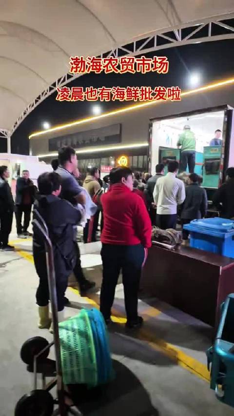 #大眼去旅行[超话]#  渤海农贸市场凌晨也有海鲜批发啦   ​​​
