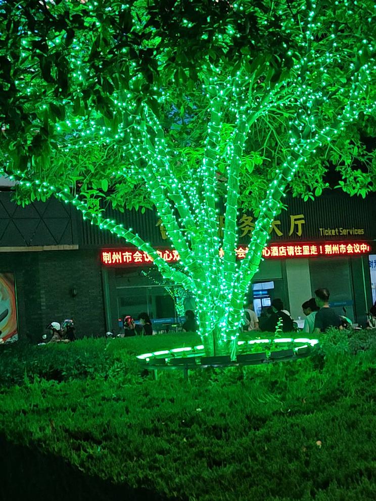 头条视频激励企划