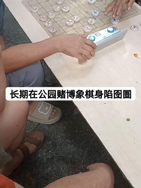 #好物分享#🔜#玉林[超话]#🔚  关于公园长期象棋赌博现象的法律剖析 一、视频中两位中年人在公园树