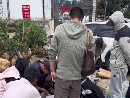 不是 现在小猫都跟淀粉肠一个价格了吗？