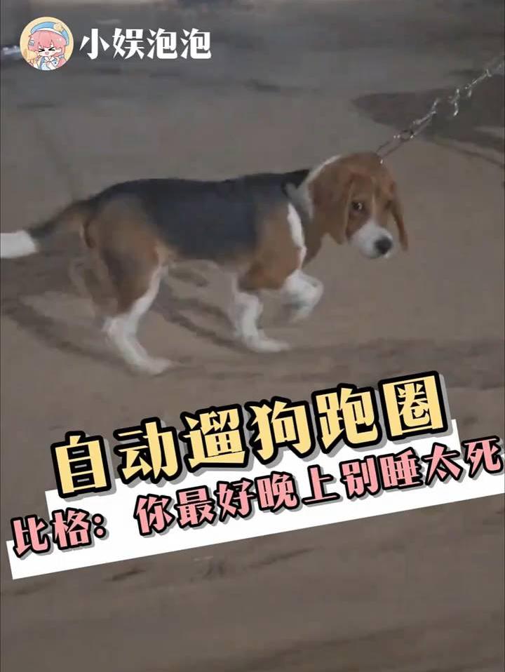 比格：你最好晚上别睡太死