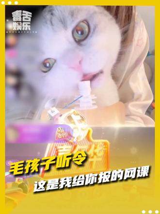 这次我们一定要提现！