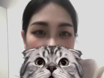 召唤我的本命半覆脸小猫