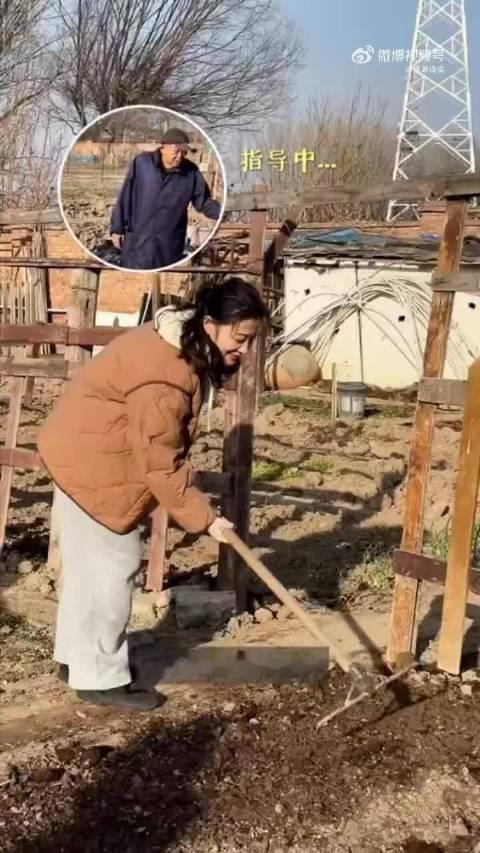 颖儿去梅婷家做客，吃的全是菜园现摘的有机菜，直接吃到礼服都扣不上了😂 看到梅婷家那个菜园真的绝了，7
