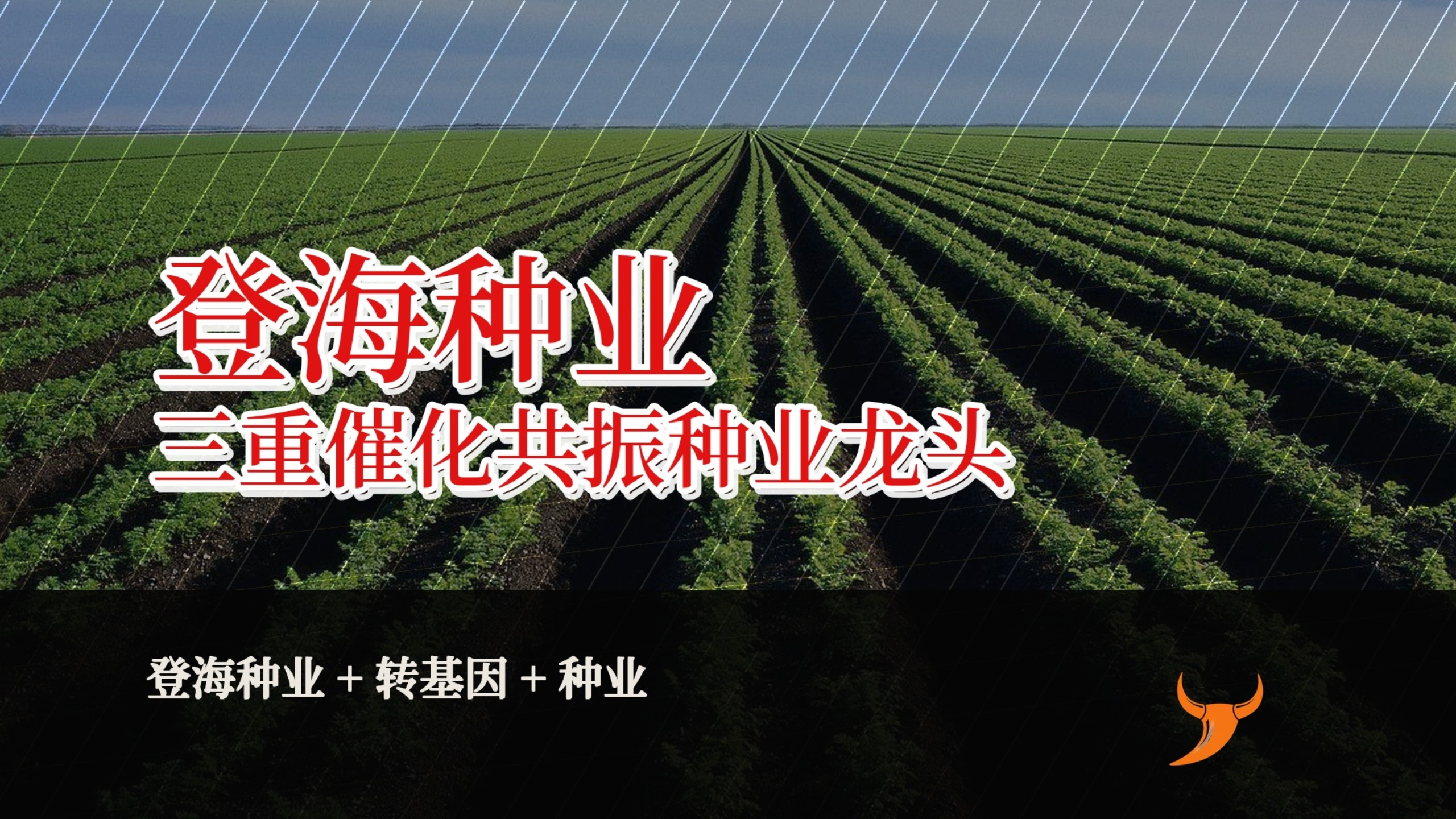 登海种业：三重催化共振，这家种业龙头还能不能追？