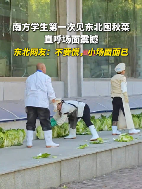 #南方学生第一次见东北囤秋菜# 南方学生第一次见东北囤秋菜，直呼场面震撼。东北网友：不要慌，小场面而