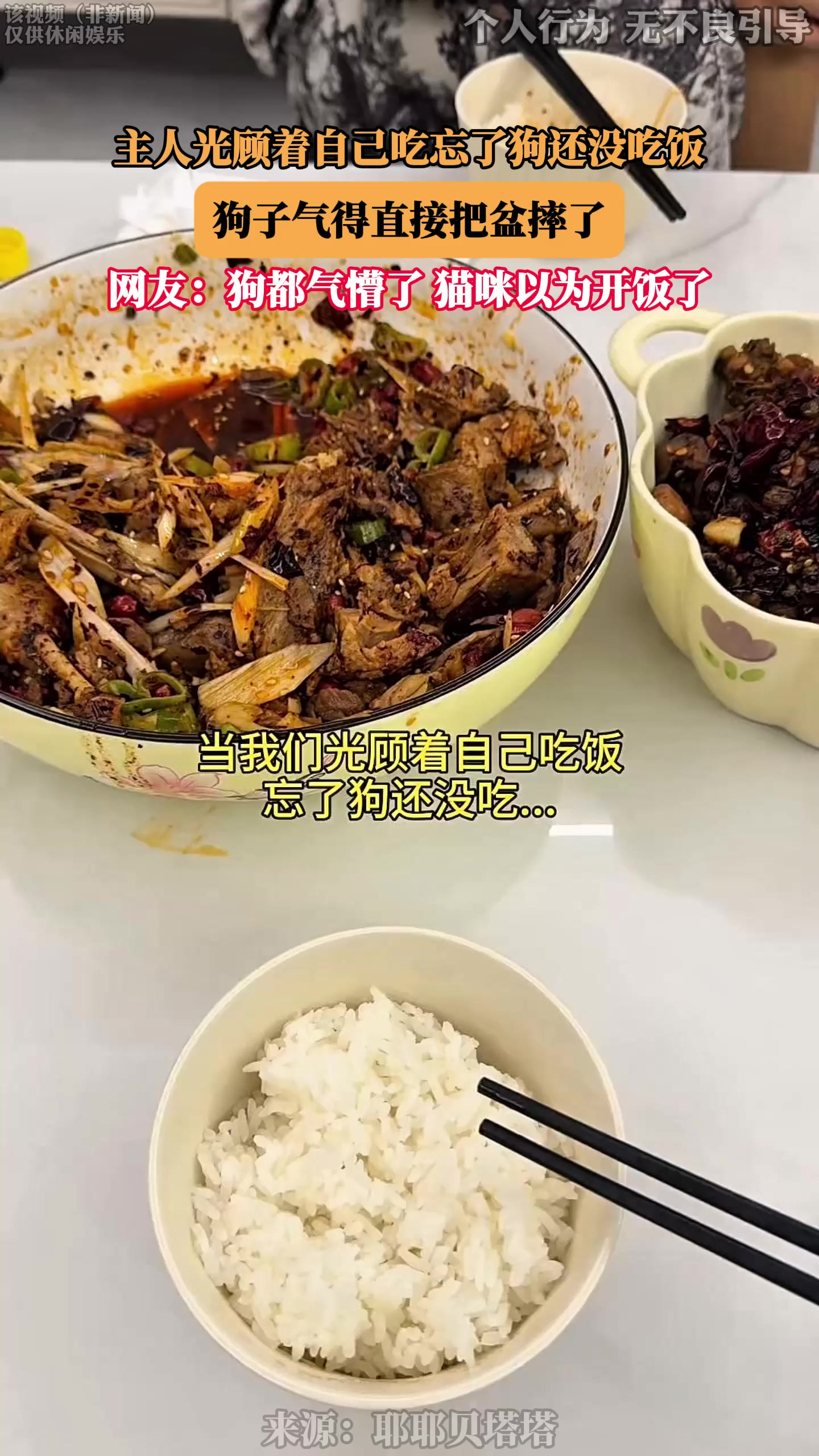主人光顾着自己吃忘了狗还没吃饭，狗子气得直接把盆摔了