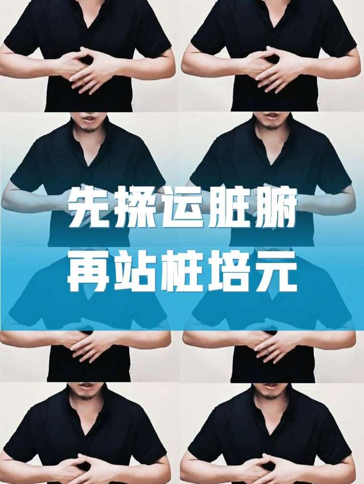 脏腑揉运导引，适配中老年养生 守一第四百日筑基前置｜脏腑揉运导引，适配中老年养生  不少中老年朋友直