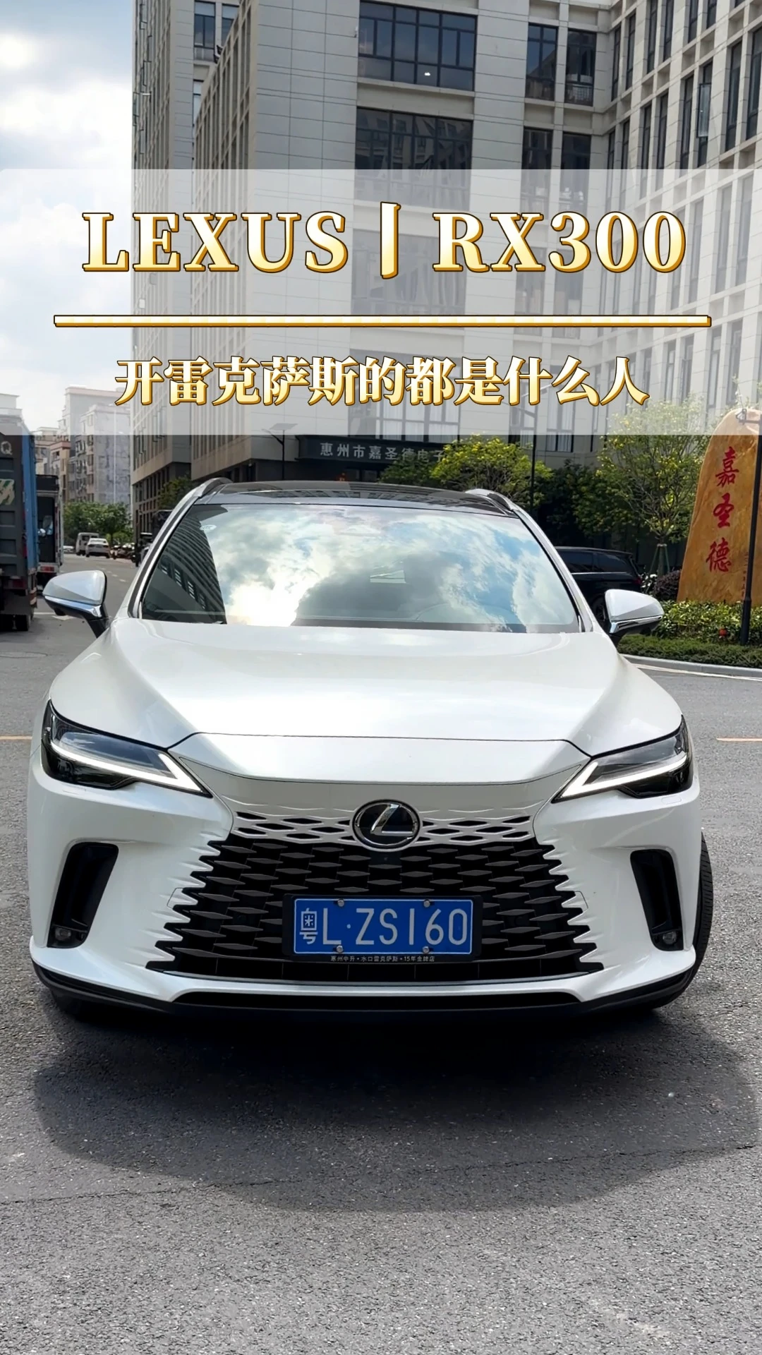 什么人才会买雷克萨斯？#雷克萨斯RX #凌志 #家用车 #豪车 #丰田