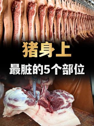 猪身上最脏的5个部位，很多人喜欢买，但专家建议最好少吃！ （1）