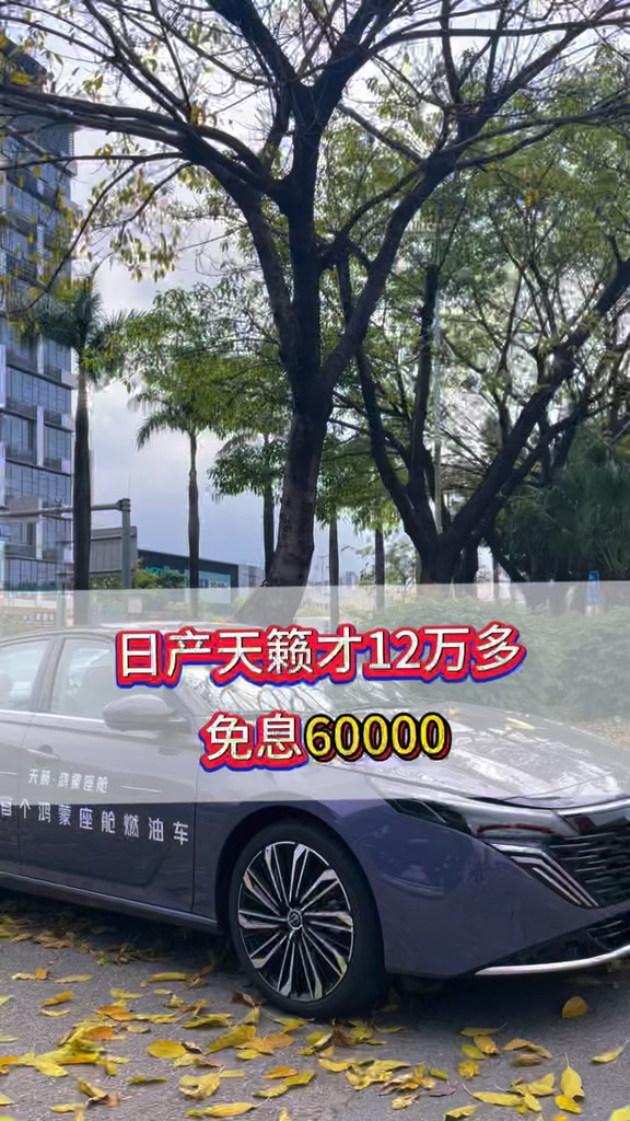 日产天籁才12万多，还有免息6万#用车体验 #日产天籁 #江门