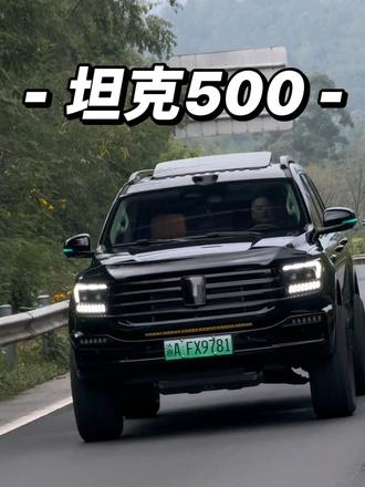 这姿态算得上完美吧