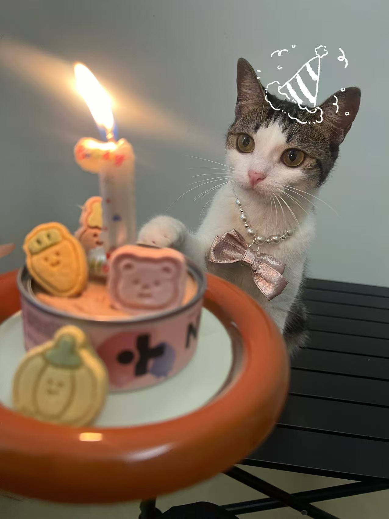 去年捡的小猫在好人家过上幸福生活！被捡那天就是它的生日！真好！  <p class="imgbox"