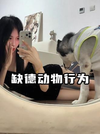 缺德动物行为大赏，小动物哪有什么坏心思呢