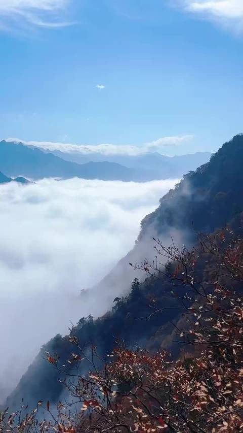 人这一生都在渡，渡人，渡心，渡自己。一眼看开便是幸福，一念放下便是万般自在