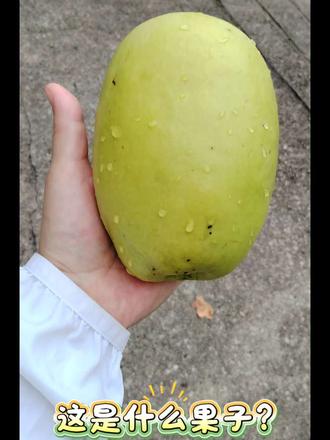 这是什么果子能吃吗