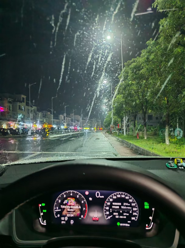 雨天车停树下，都是树胶了😡