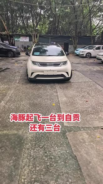 海豚起飞自贡还有三台 比亚迪海豚起飞自贡，还有三台，汉两台，零跑C11两台，喜欢的来约