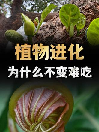 为什么植物们，不把自己进化得很难吃，从而避免被人类吃掉呢？ （1）