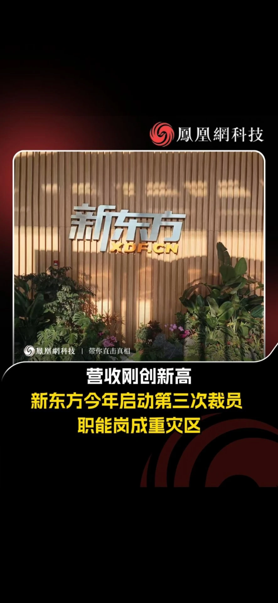 新东方营收创新高，却再裁职能岗