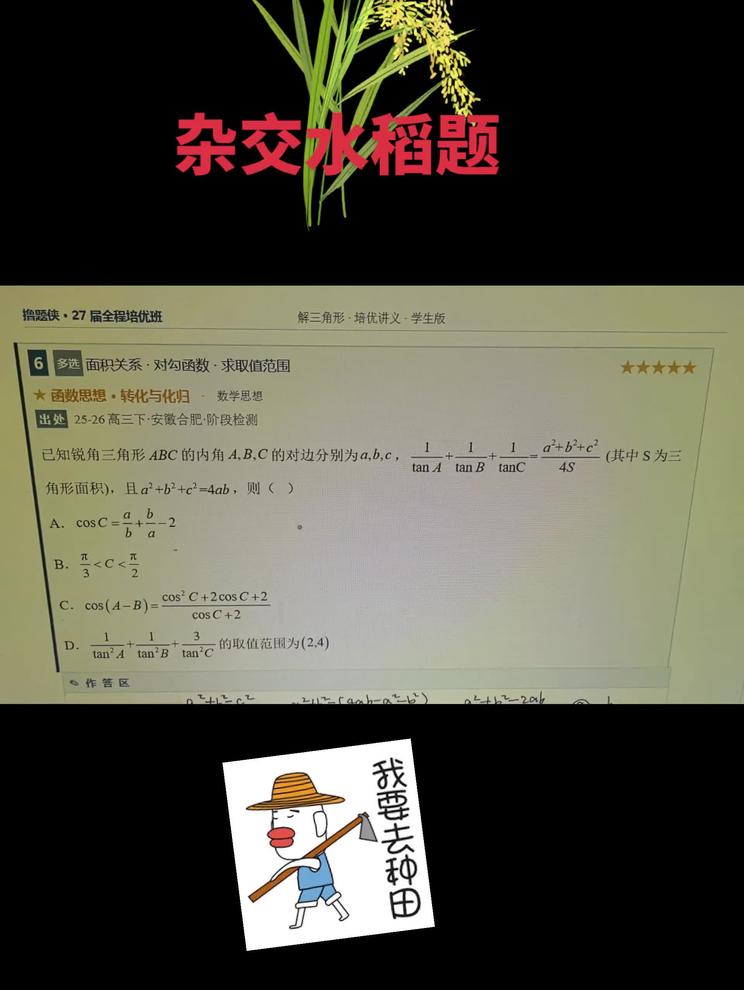这就叫～“杂交水稻”🌾题