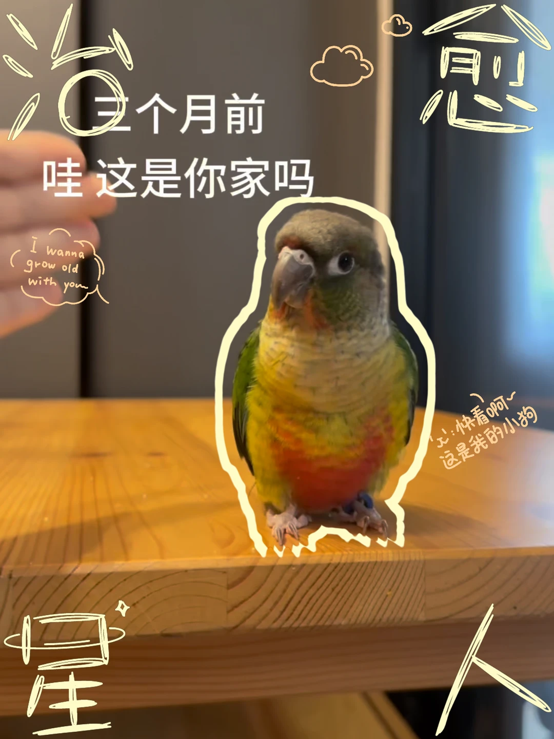 没瓜系日记🦜 | 这是你家吗大姐