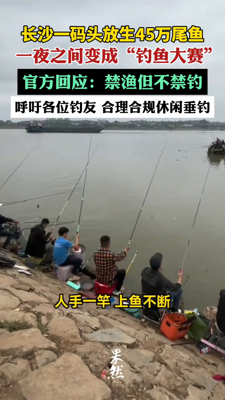 放生45万尾鱼后，引来几百根鱼竿