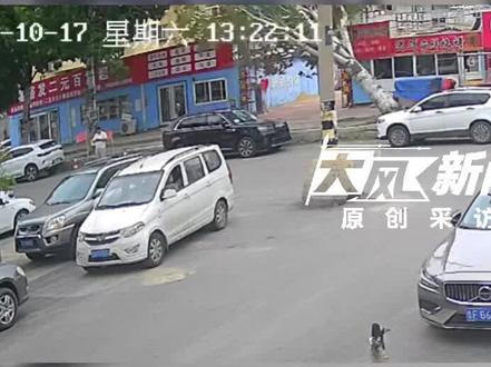 山东烟台一棵大树被风吹倒，一家三口经过时被砸；当地回应：无大碍，在家休养