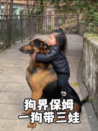 狗界保姆“天哥”温顺脾气好，凭一狗之力把三个娃拉扯大