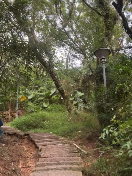 探索幽静山间，踏上石阶，感受大自然的宁静。