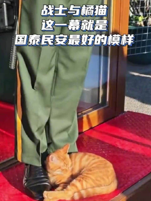 【#天安门邂逅小猫的兵哥哥回应了#[抱一抱]】近日，一只小猫陪着天安门武警执勤哨兵站岗的“反差萌”画