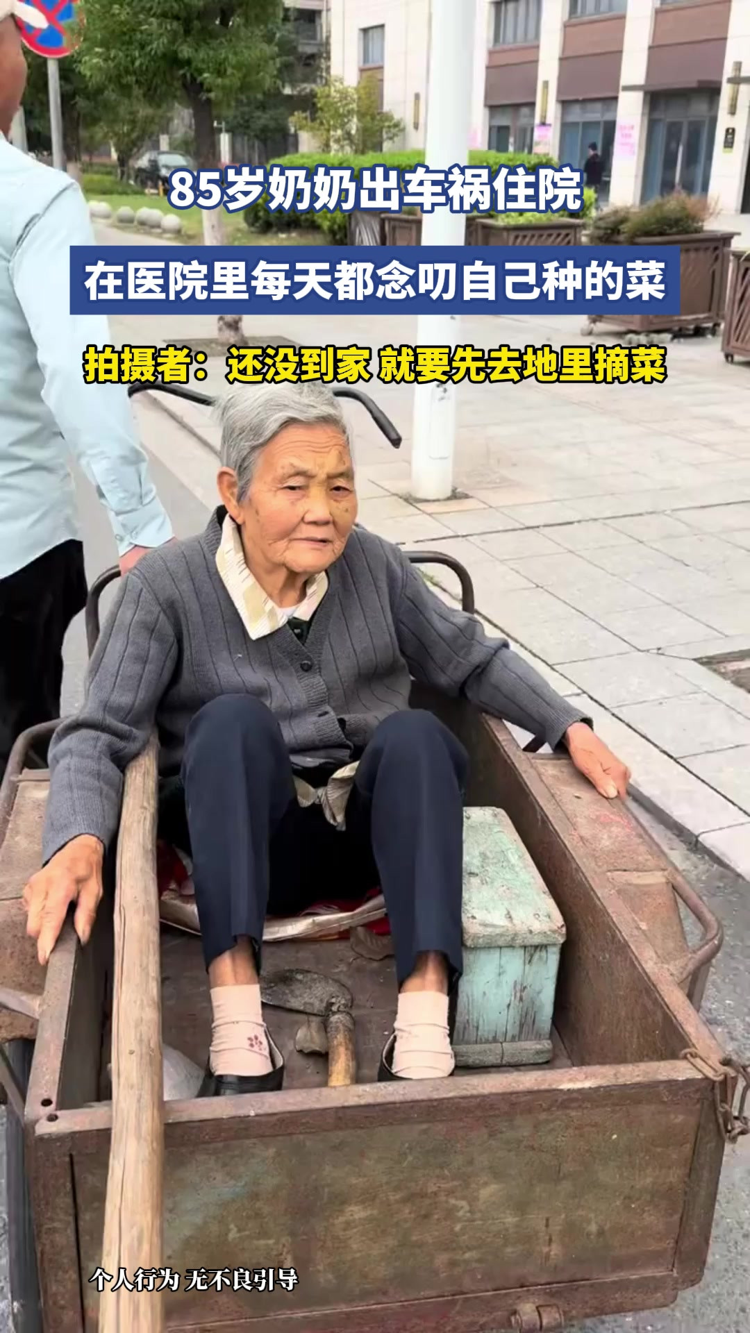 85岁奶奶出车祸住院，在医院里每天都念叨自己种的菜，拍摄者：还没到家，就要先去地里摘菜