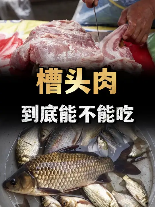 老话讲割肉不割槽头肉，买鱼不买鲫壳鱼，槽头肉到底能不能吃？ （2）
