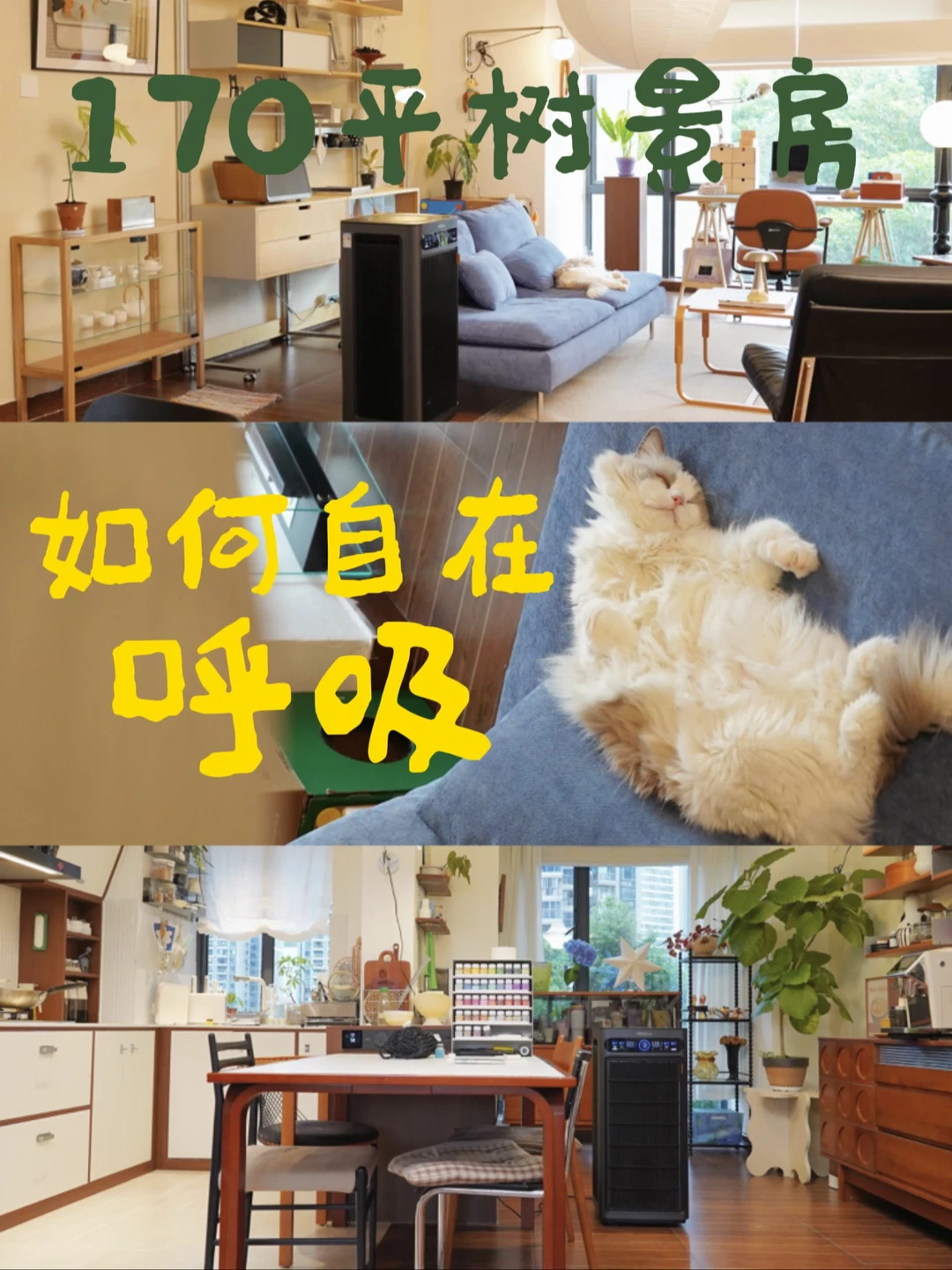 170平树景房｜养宠+手工如何从容呼吸 🍃