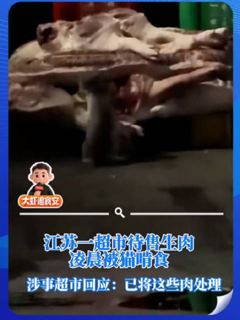 #江苏爆料##张家港一超市待售生肉凌晨被猫啃食#【江苏一超市待售生肉凌晨被猫啃食，涉事超市：送货的人