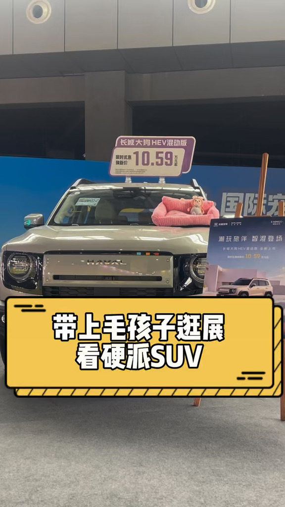 泸州宠博会来啦！🚗🐱🐶 建国哈弗展位就在黄舣国际会展中心D馆 哈弗大狗实车登陆，近距离沉浸式看车 哈