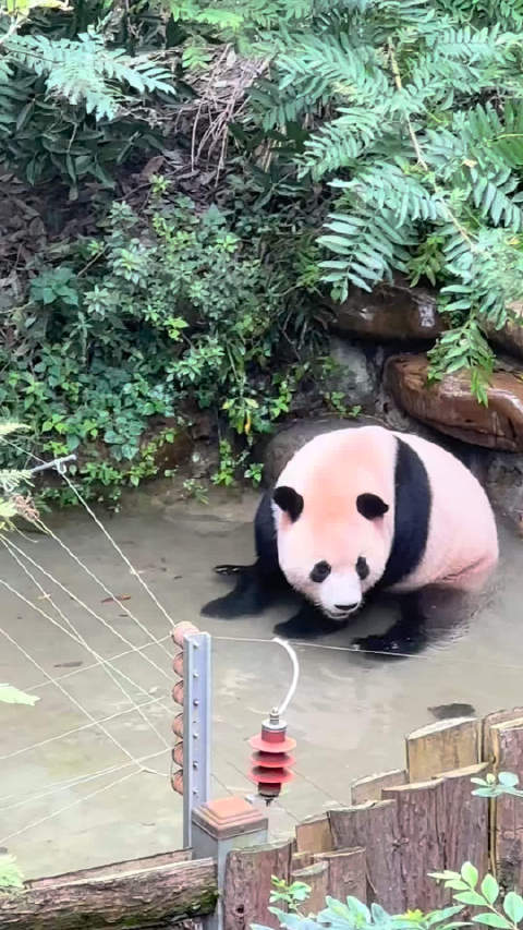 然然：这个澡堂有股憨气！  ​​​