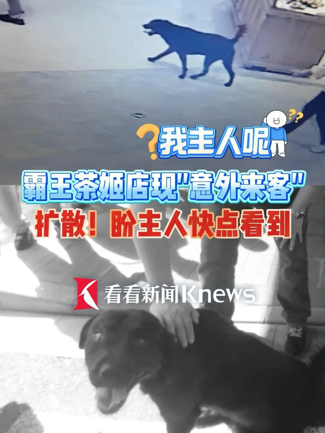 急寻去过这家商场的人！你的狗狗等了两小时