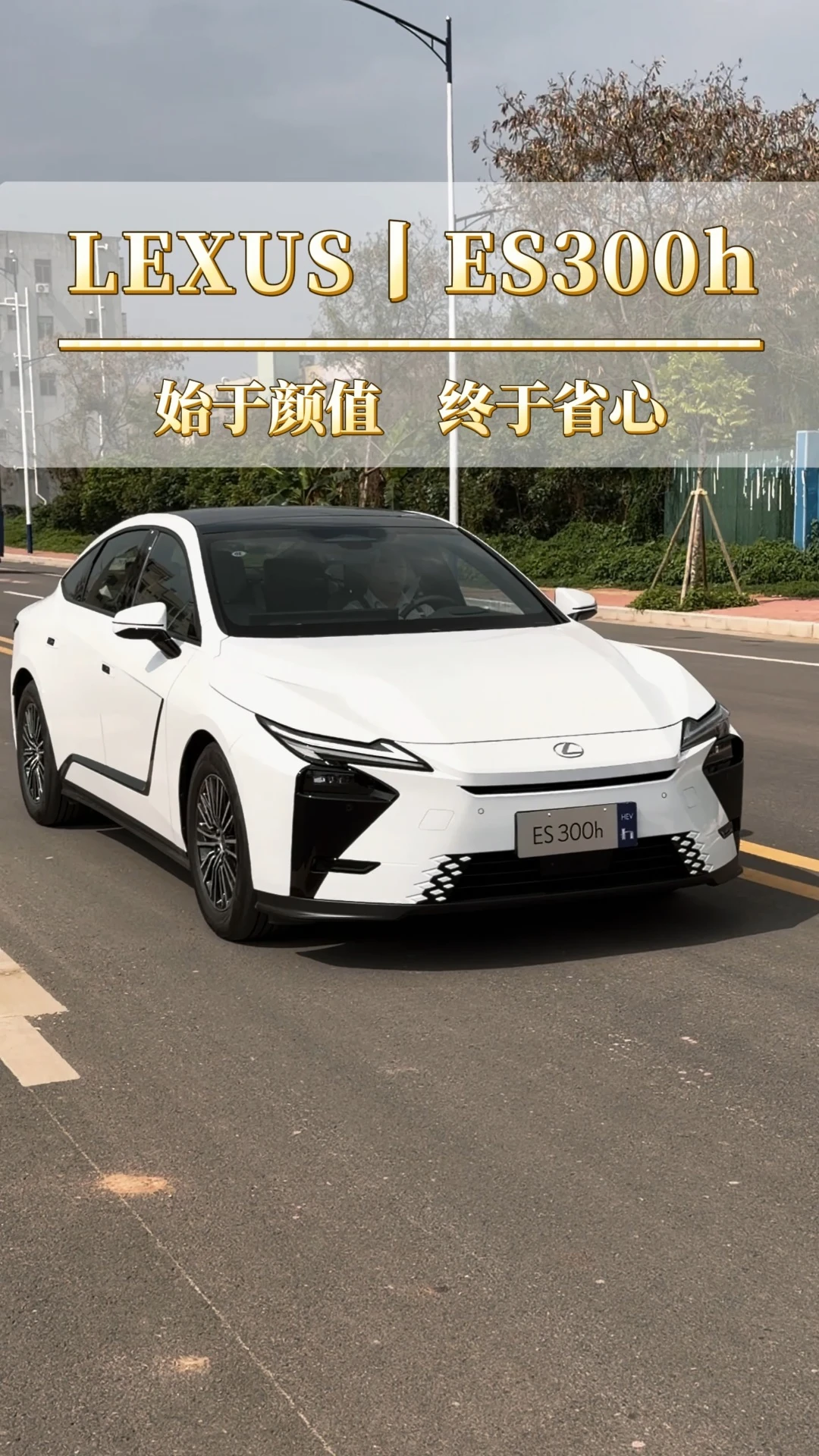 凯美瑞和 ES 差 10多万，差的到底是什么？#依然ES超跃ES #雷克萨斯ES #进口车 #豪车 