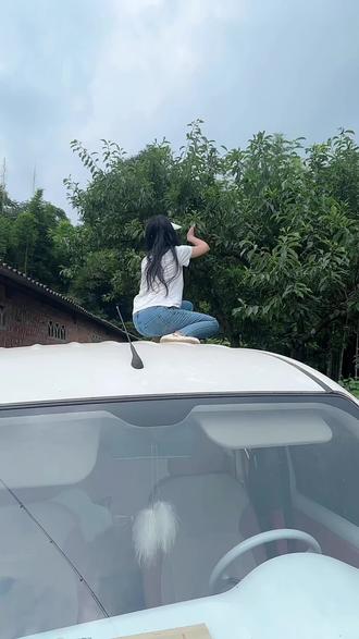 这是谁家的好吃婆娘，树子爬不上去就爬车顶讨李子😂