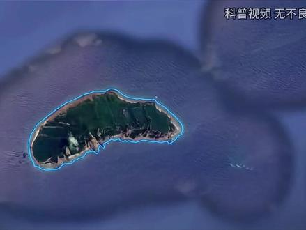 钓鱼岛惊现千只山羊，破坏植被扰乱平衡，这些羊是从哪里来的？ （2）