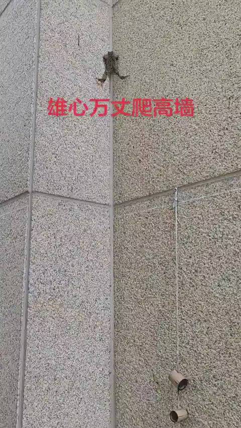 方向错了，再努力都没有用  ​​​
